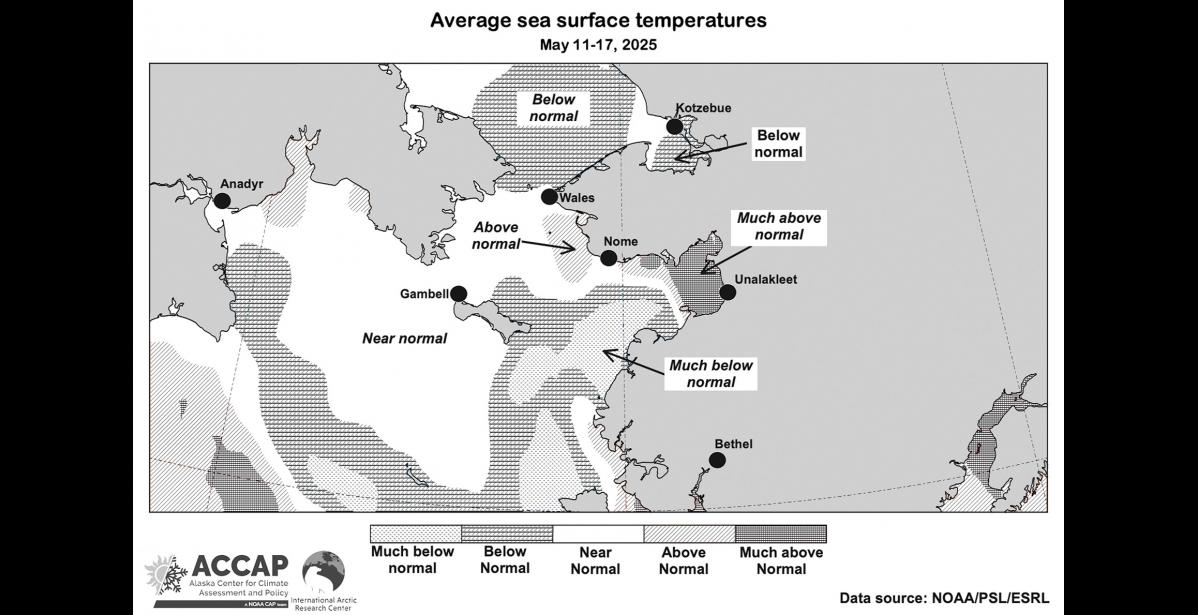 Graphic courtesy of ACCAP