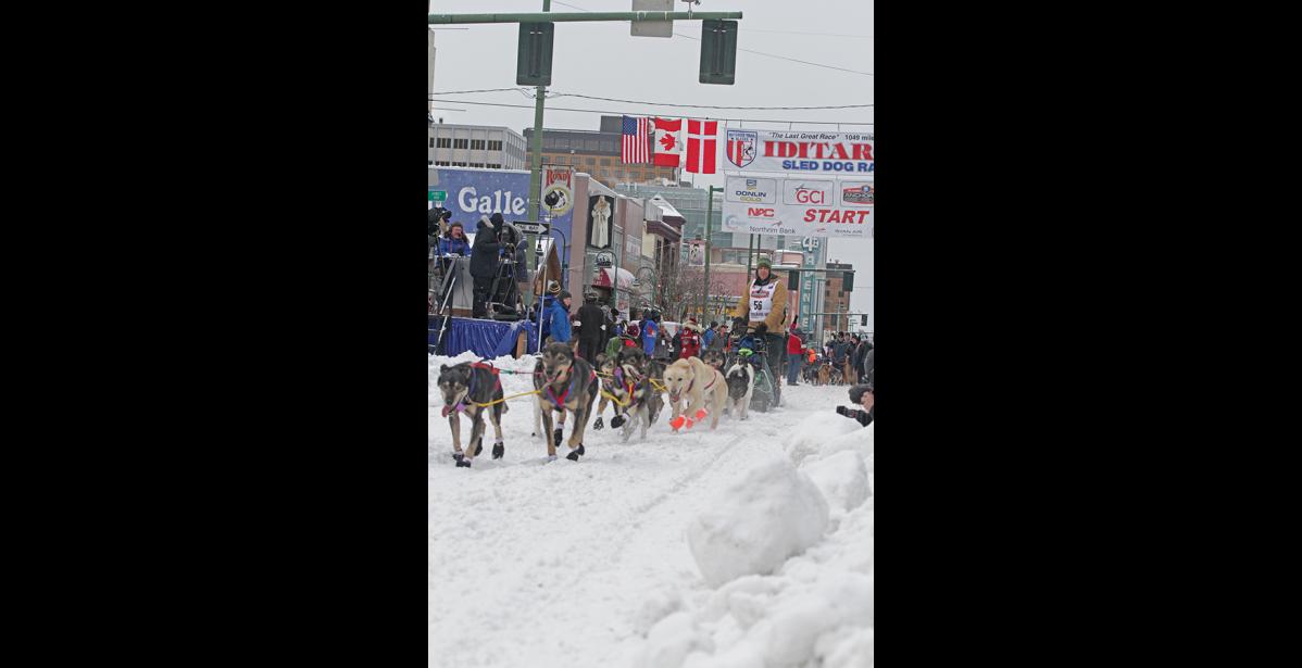 Photo by Julie St. Louis NOME MUSHER— Nils Hahn leaves the start line in Anchorage during the ceremonial start on Saturday.