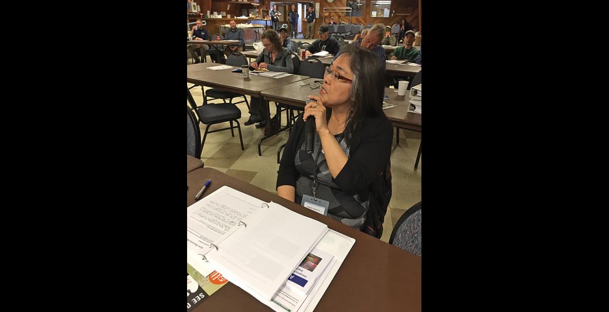 Photo by Sandra Medearis PREPARATION BEGINS AT HOME—Bobbi Andrews of Saint Michael discusses preparation of local information to go into a Small Community Emergency Response Plan which contains evacuation routes, important telephone numbers and contacts, critical structures, emergency shelters and emergency operations centers well as a check list for immediate action.