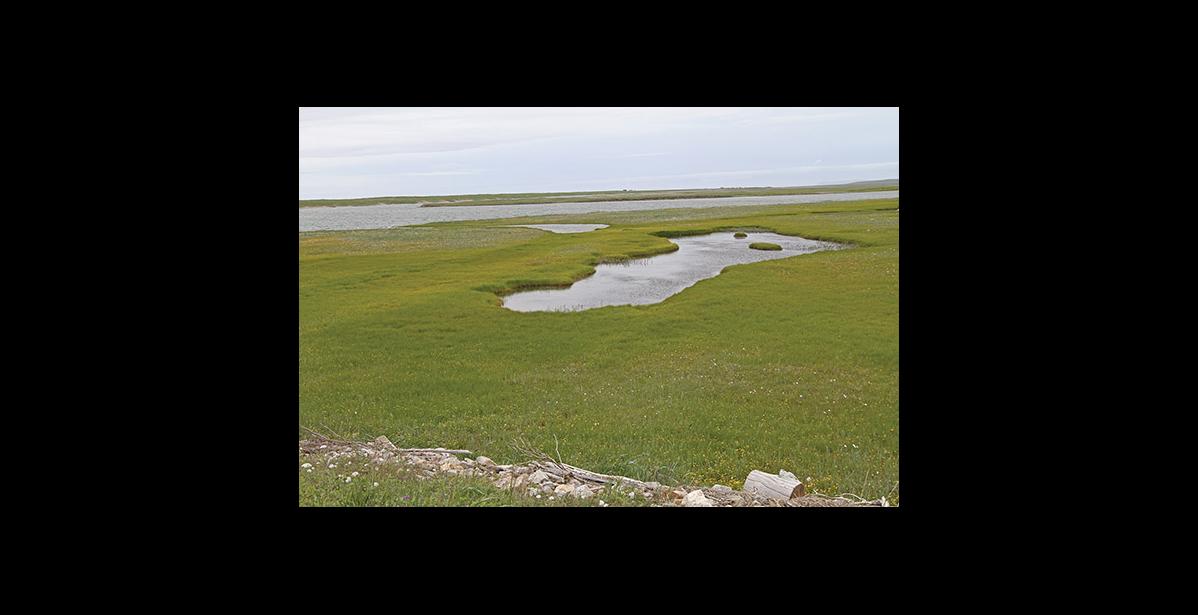 Photo by Diana Haecker Bonanza Channel is the proposed mining site.
