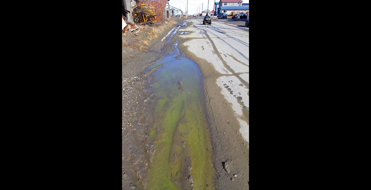 Green slime running down Steadman Ave.