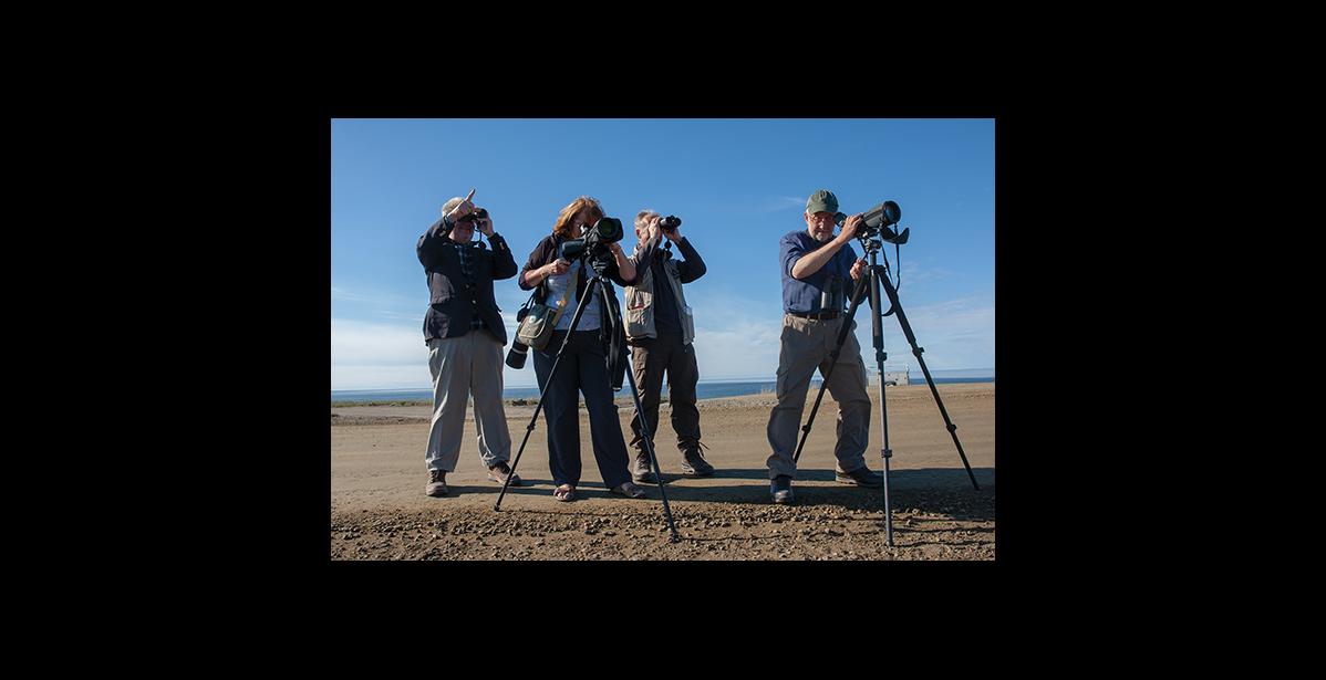 Photo by James Mason OPTICS – Four British birders armed to the teeth with high-powered optics enjoy the fauna along the Council Road Saturday.