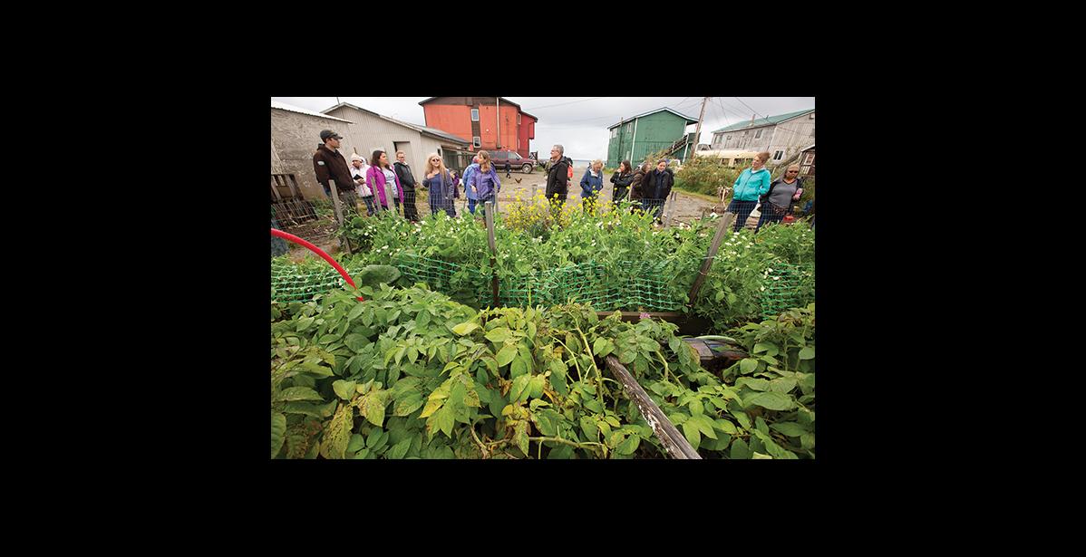 Photo by James Mason VEGETABLE JUNGLE— The Bachelder’s lush garden gets a look from the Garden Tour crowd Sunday.
