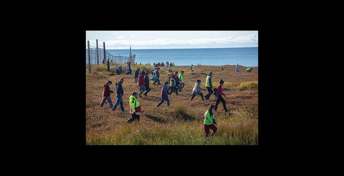 Photo by James Mason A community search on the tundra above West Beach was held Saturday, Sept. 5