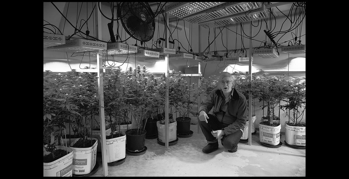 Photo by James Mason Robin Thomas grows marijuana and now has a license to sell it to the public in Nome.