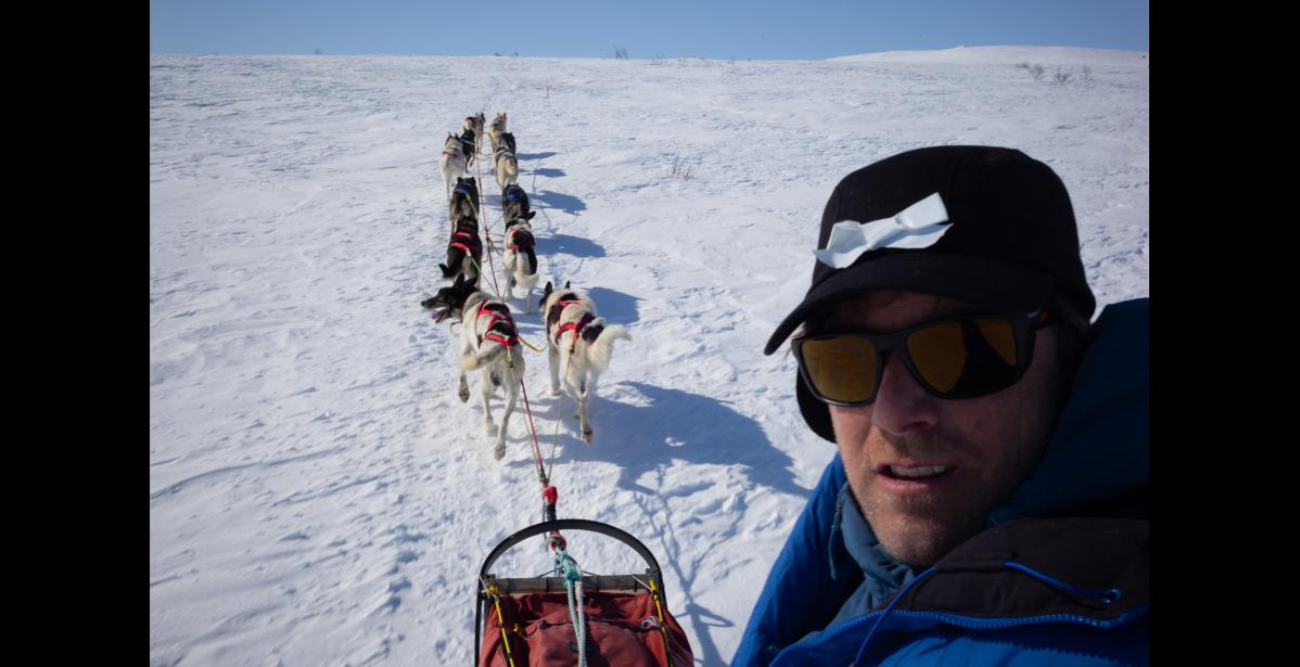Nils Hahn on the trail outside of Nome with his team.