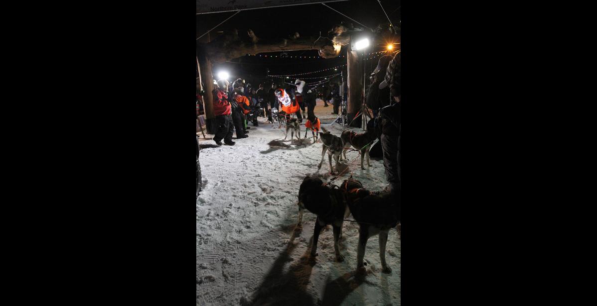 Photo by Diana Haecker Thomas Waerner congratulates his dogs at the finish line.