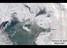 Photo courtesy UAF/GINA BLUE WHERE IT SHOULD BE WHITE— This satellite photo, taken on Sunday, Feb. 24, reveals a shocking lack of sea ice in the Bering Sea. The open water is connected to the blizzards hammering the region.