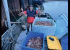 Gabriel Smith shows off his catch on the Ripley. Photo courtesy Gabriel Smith