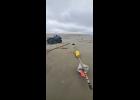 Photo courtesy Robert Tokeinna Jr. TAG— A Russian buoy marker and fishing tag were found near Wales on September 21. Aside from the marker, there were also plastic milk drink bottles, water bottles, air freshener cans and toilet bowl cleaner bottles found.