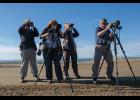 Photo by James Mason OPTICS – Four British birders armed to the teeth with high-powered optics enjoy the fauna along the Council Road Saturday.
