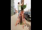 Photo by James Mason BEAUTIFICATION— Northrim Bank donated thirty potted geranium plants for the beautification of Nome. Paul Kosto of the Chamber of Commerce was among those hanging the plants on utility poles on Front Street