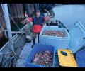 Clawsome season for small crabbing vessel Ripley