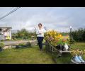 Repurposing and reusing the theme of Nome Garden Tour
